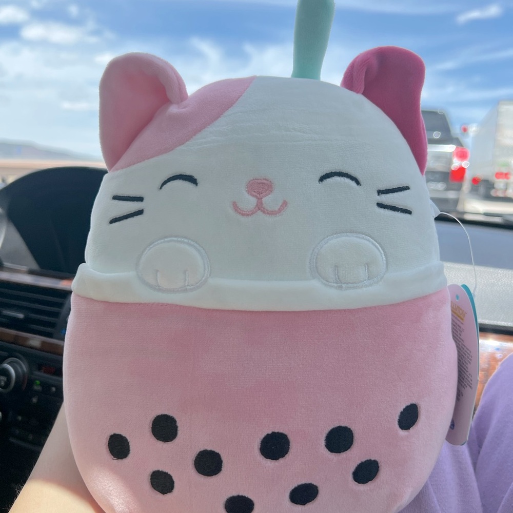 NWT Roxy Squishmallow 8 inch hot topic exclusive